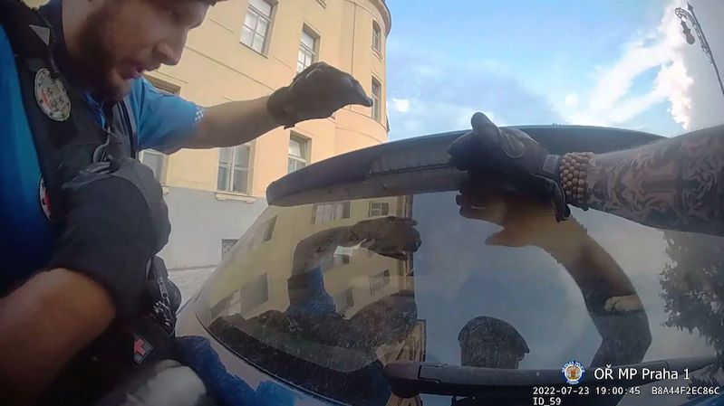 V rozpáleném autě v Praze byl uvázaný pes. Hlídka rozbila okno